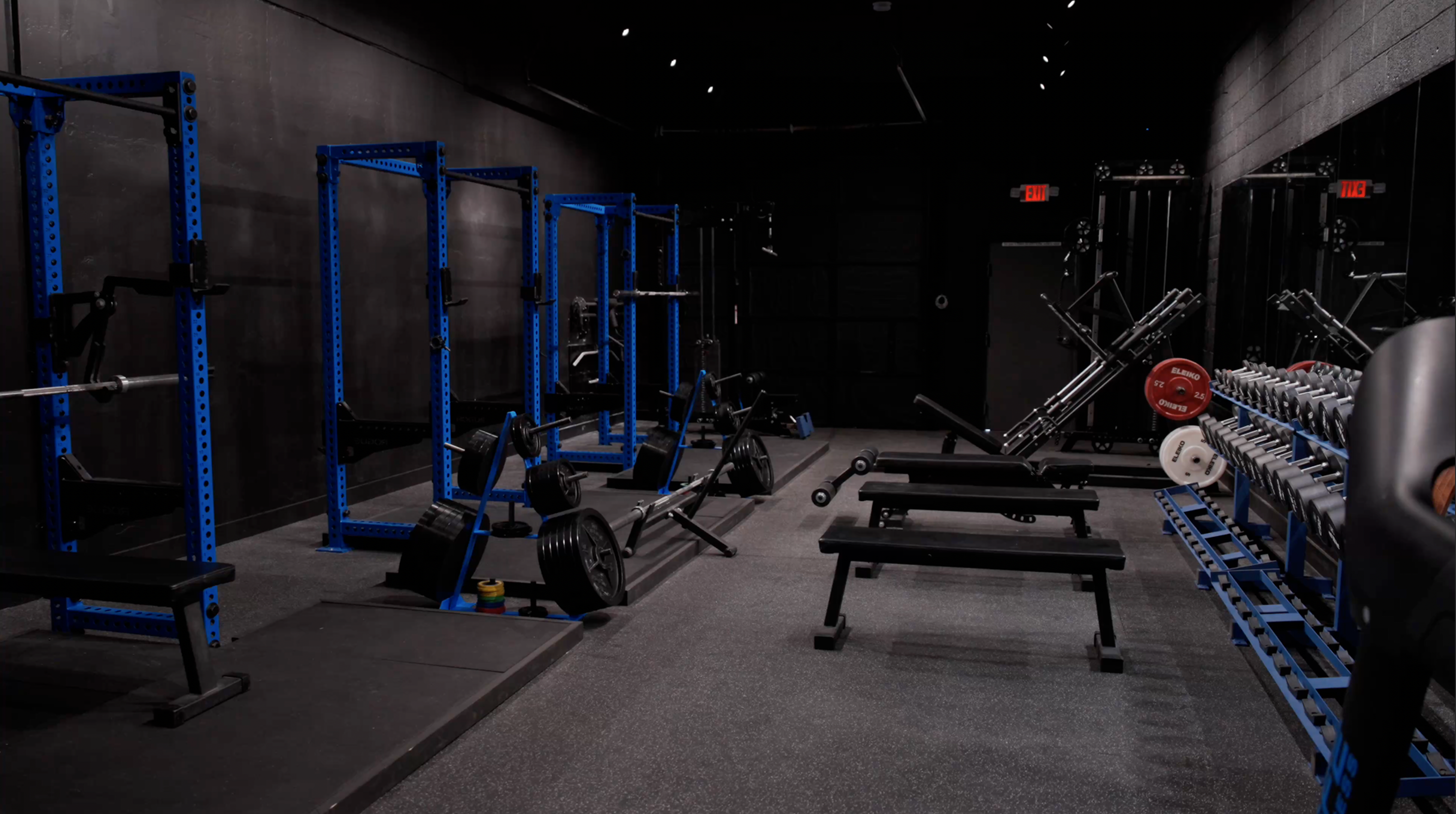 Remote coaching ‚Äî programming, nutrition, and video review