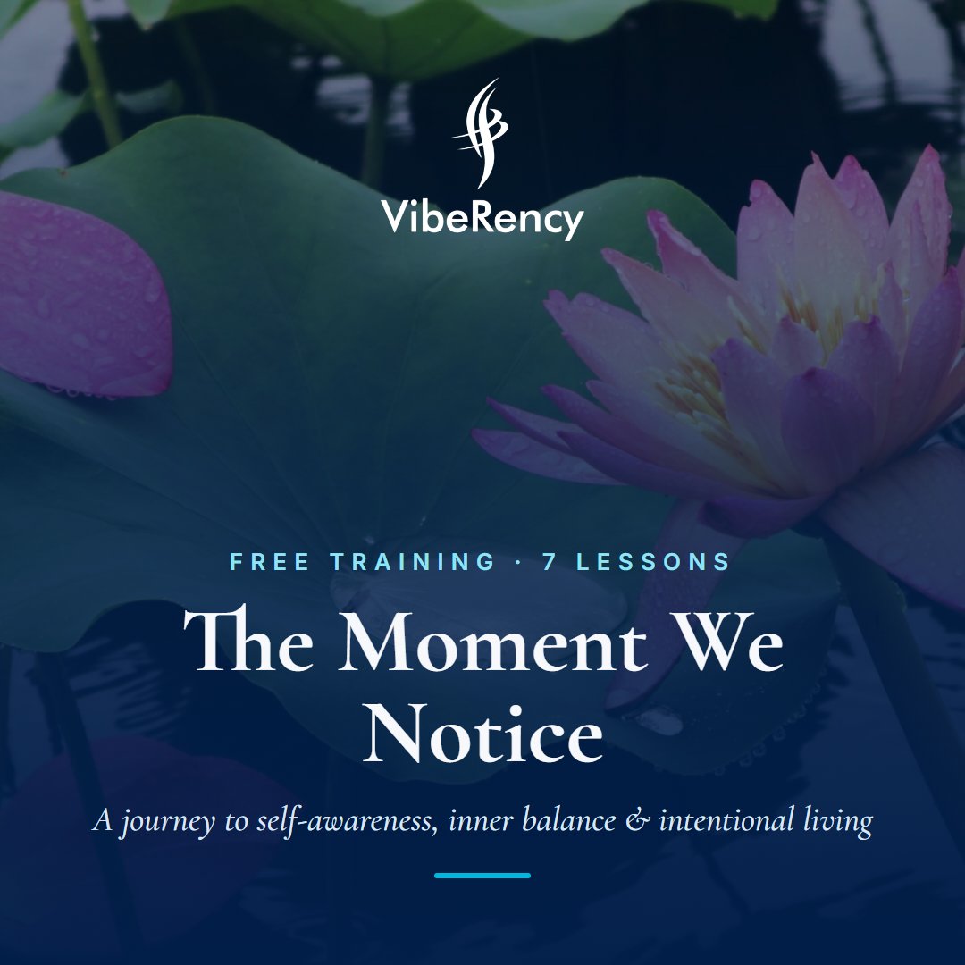 The Moment We Notice - free training, 7 lessons