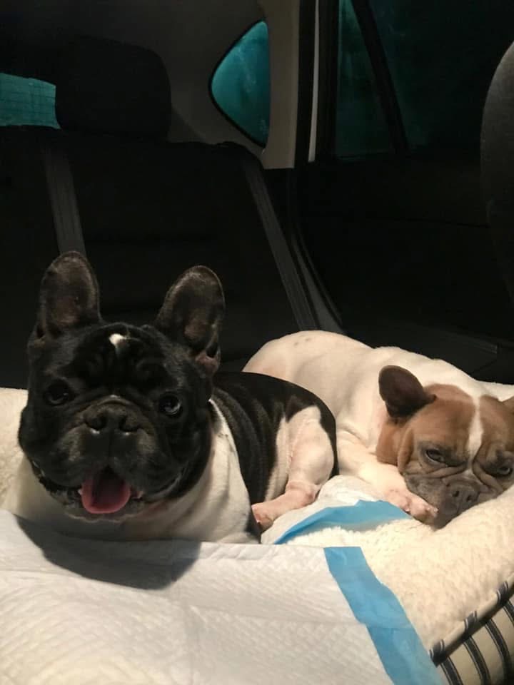 Paris and Stella