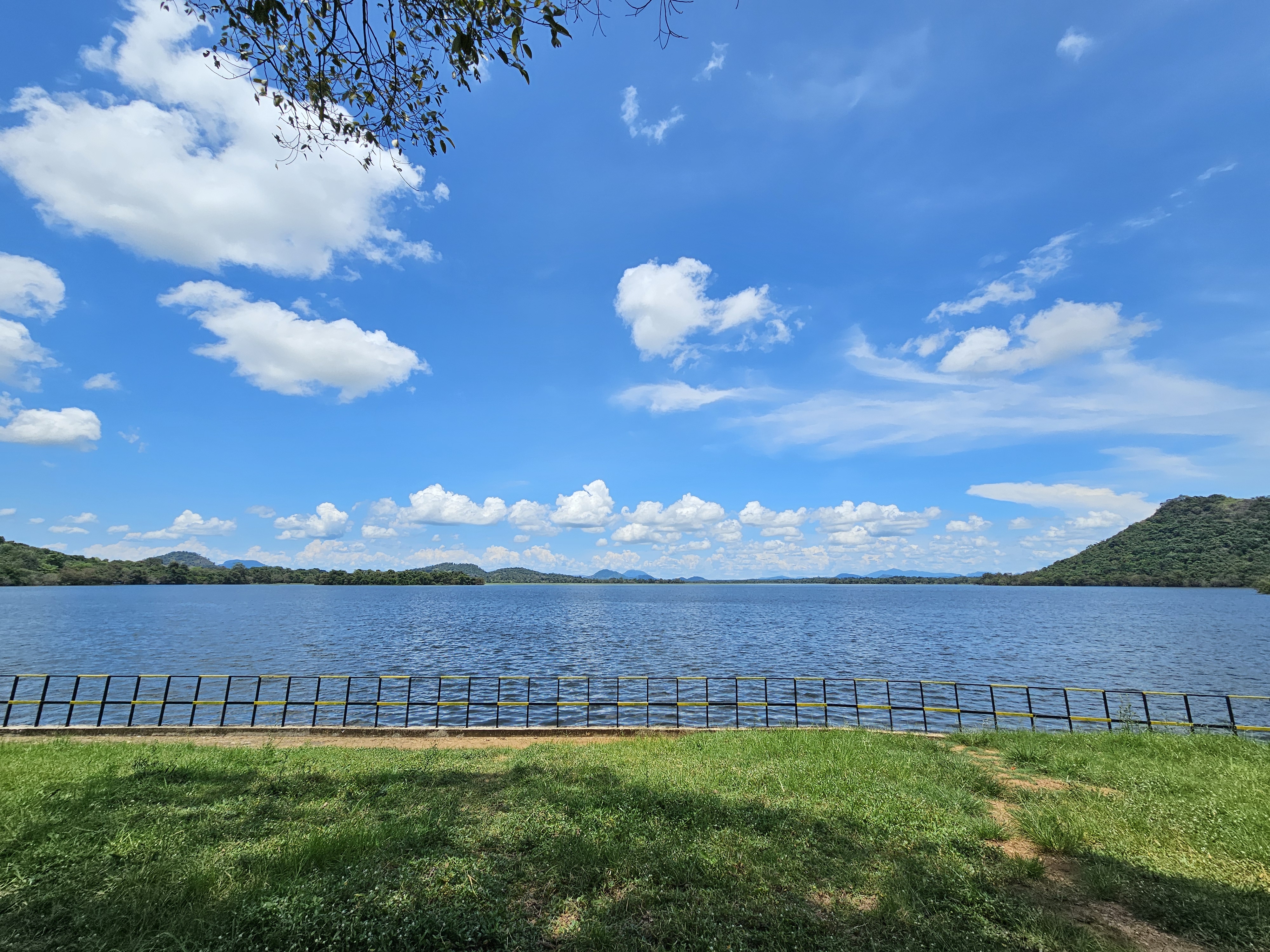 The Giants Vision The Giants Vision