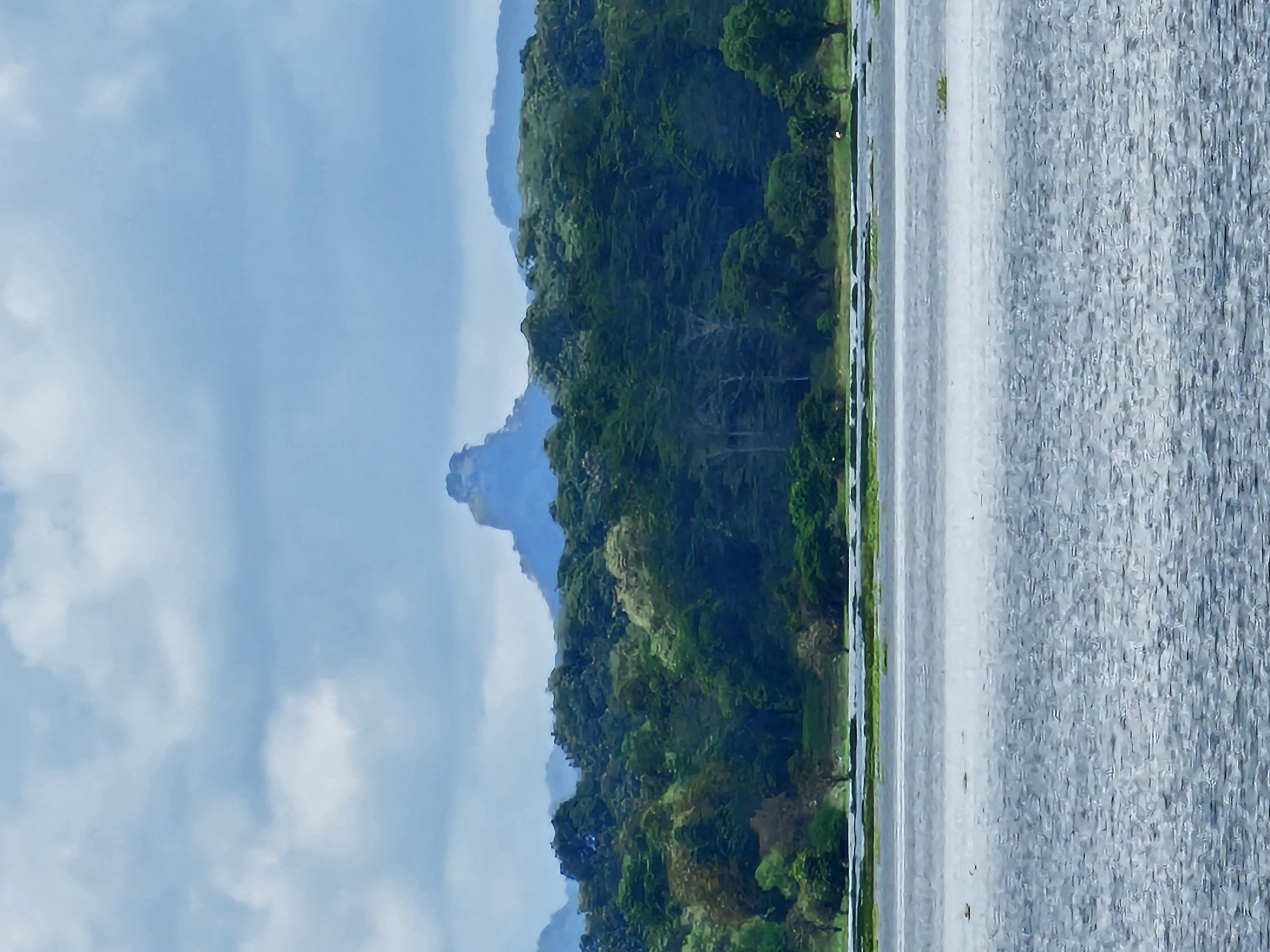 The Giants Vision The Giants Vision