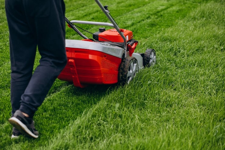 A person using a red lawn mower to trim a vibrant green lawn.