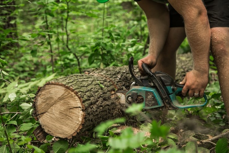 A professional using a chainsaw to cut a large tree log on the ground, representing land clearing and stump removal services.