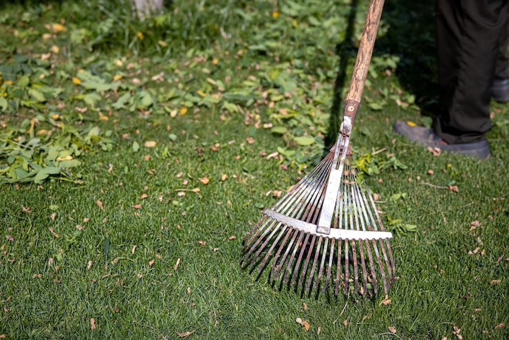 Professional lawn cleanup and debris removal services provided by SGJ Landscaping in Honesdale, PA.