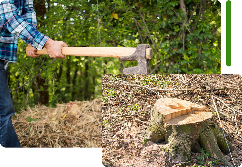 A close-up shot of a person using an axe to work on a property, overlaid with a view of a freshly cut tree stump, representing site clearing and professional tree services by SGJ Landscaping in Honesdale, PA.