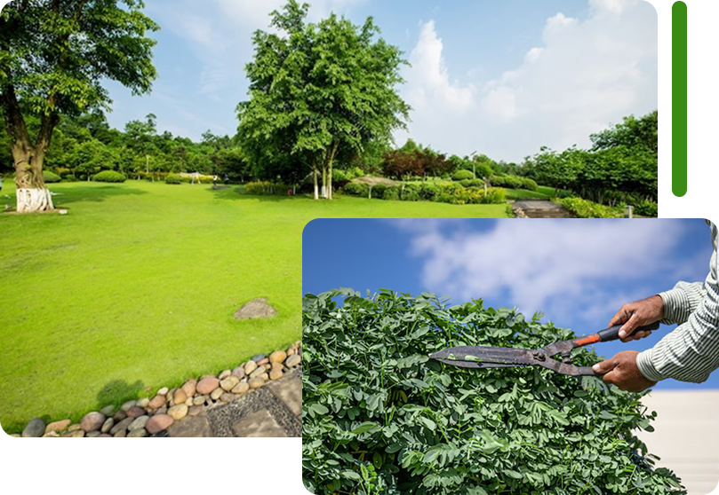 A collage showcasing professional landscaping and maintenance services, featuring a wide green lawn with a stone-bordered pathway and a close-up of a person using garden shears to trim a lush hedge.