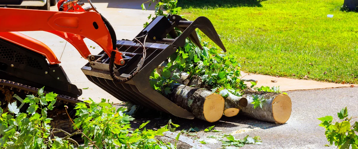 A mini skid steer loader with an orange arm and black grapple attachment lifting tree branches and logs. A mini skid steer loader with an orange arm and black grapple attachment lifting tree branches and logs.