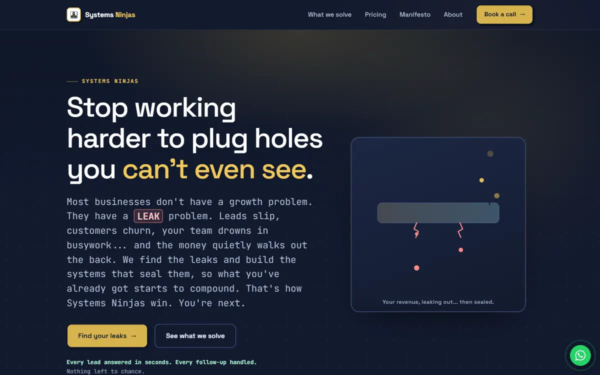 The Systems Ninjas website on a desktop screen