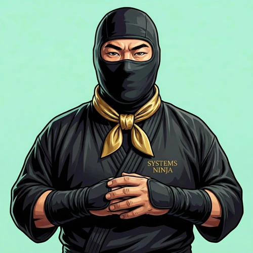 The Systems Ninja