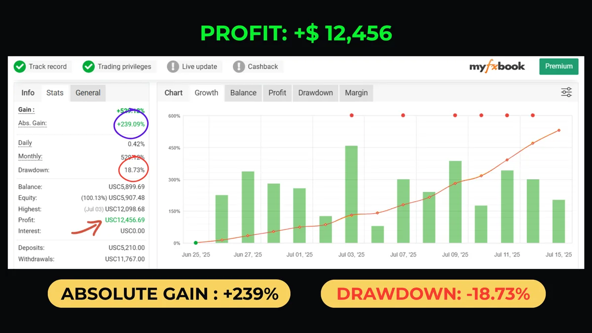 MyFxBook account record 1 of 7