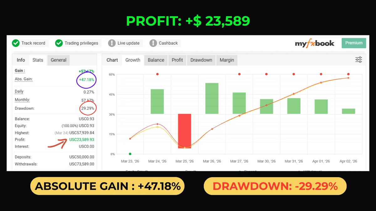 MyFxBook account record 6 of 7