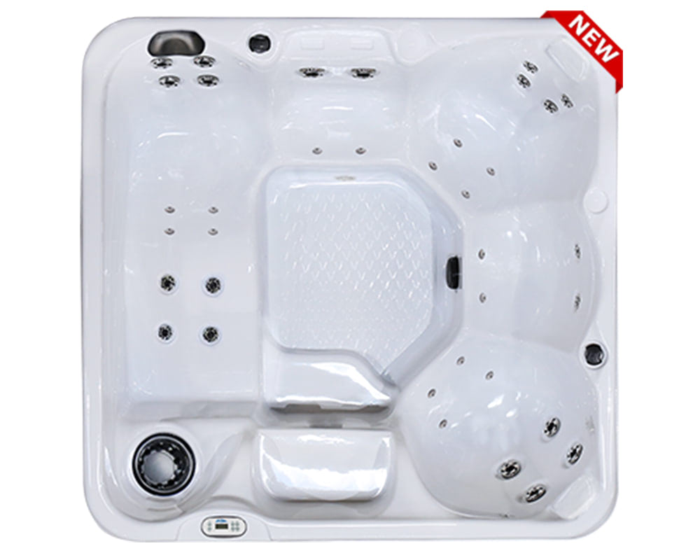 Jacuzzi J-300