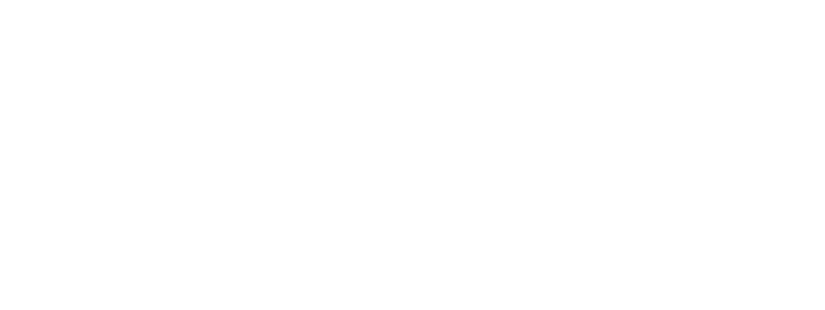 Des Vu Experiences logo
