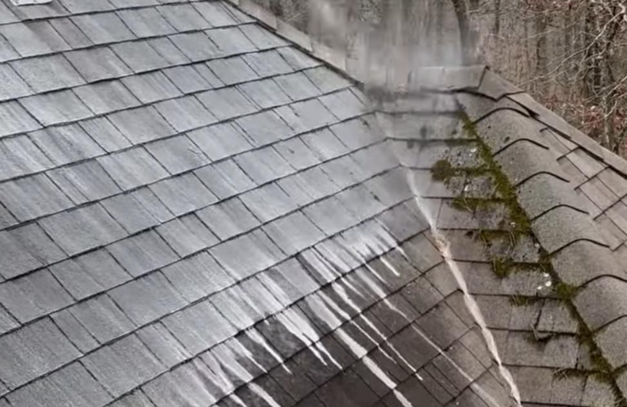 Roof Cleaning