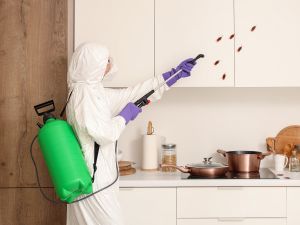 in Calhoun County, IA