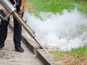 in Calhoun County, IA