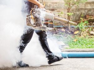 in Calhoun County, IA