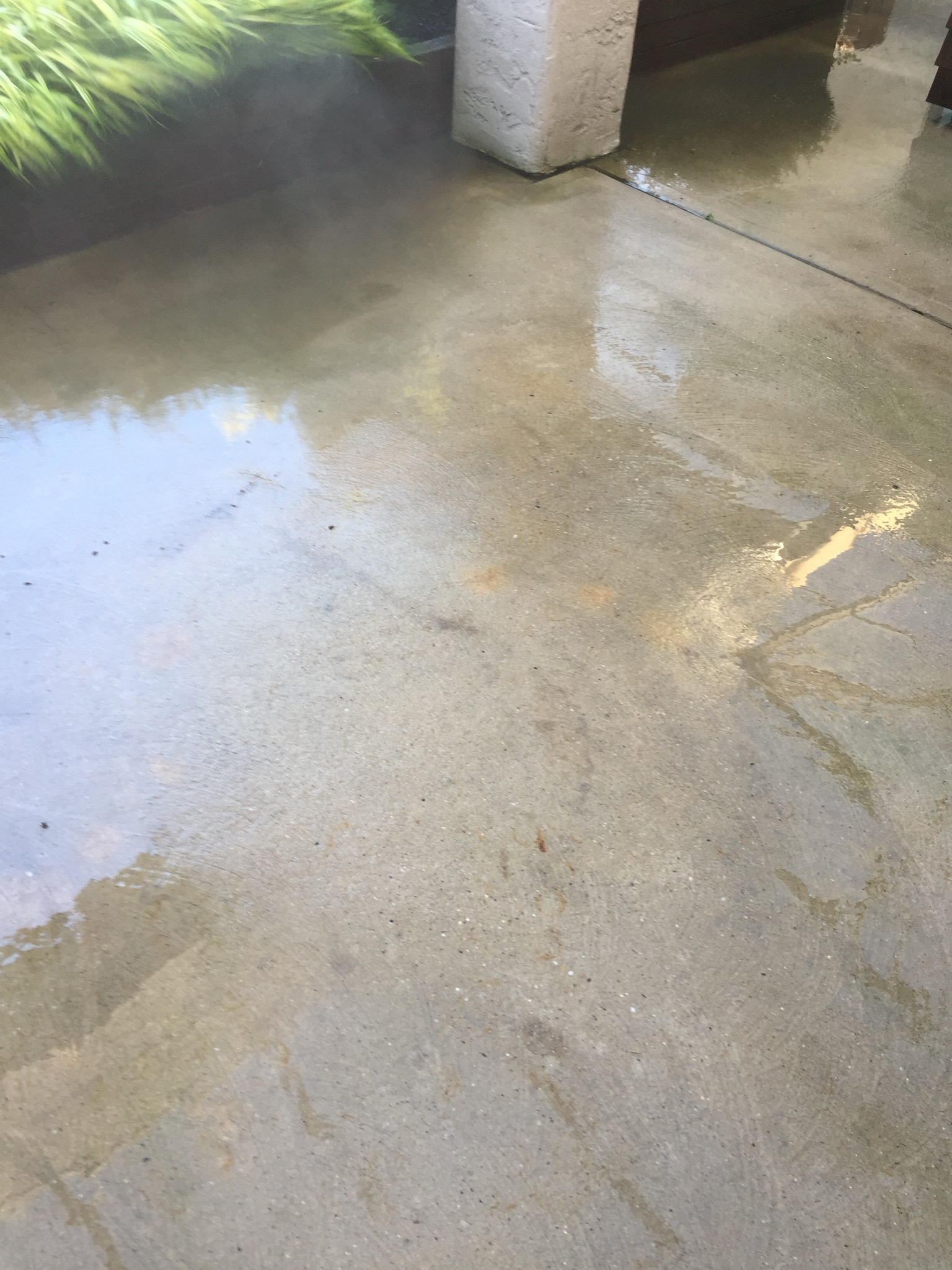 Bellport — Driveway — oil and grime lifted