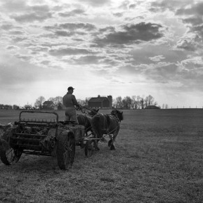 Farm Scene
