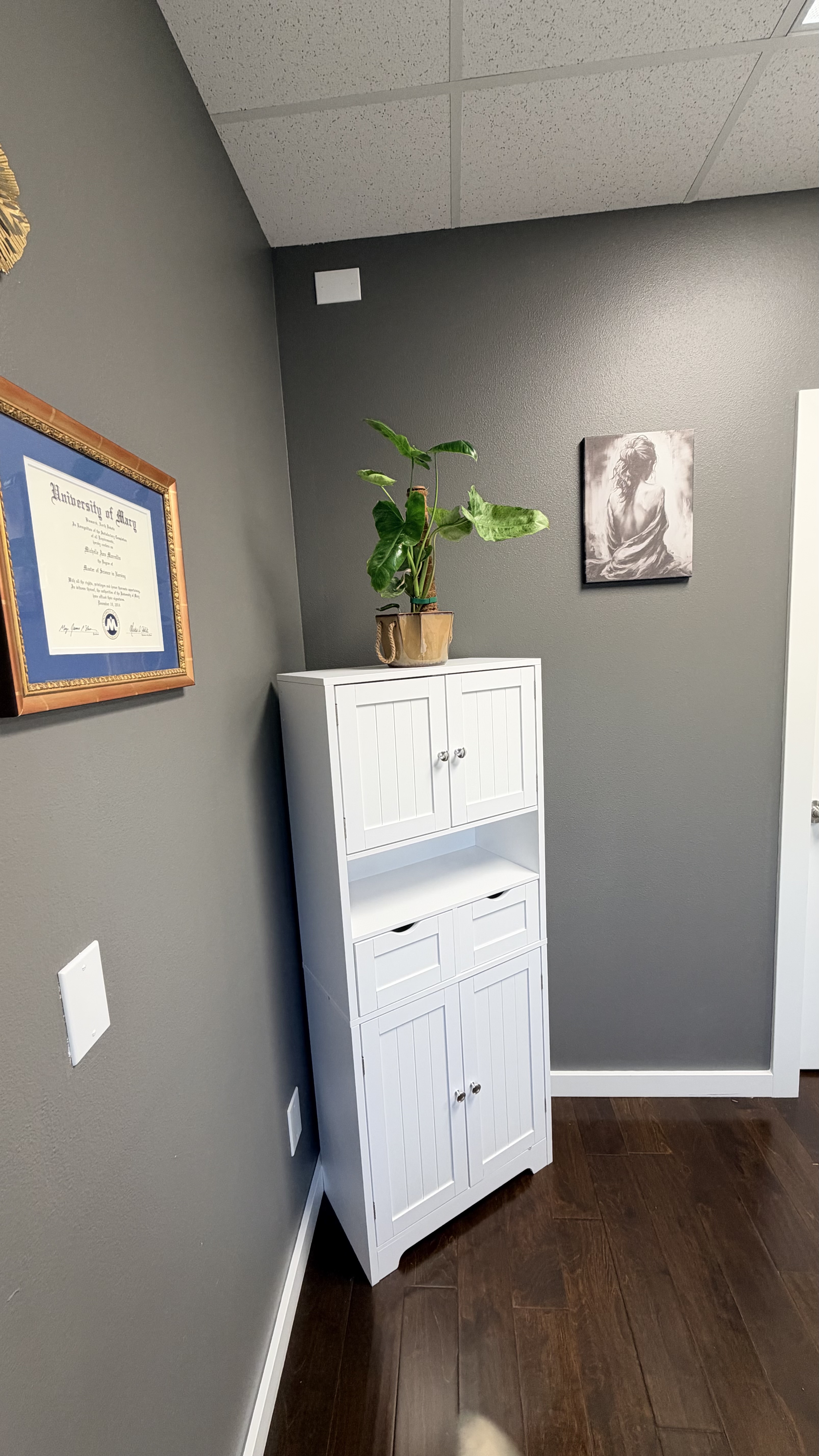 White cabinet with a potted plant and wall artwork at Chez Michelle.