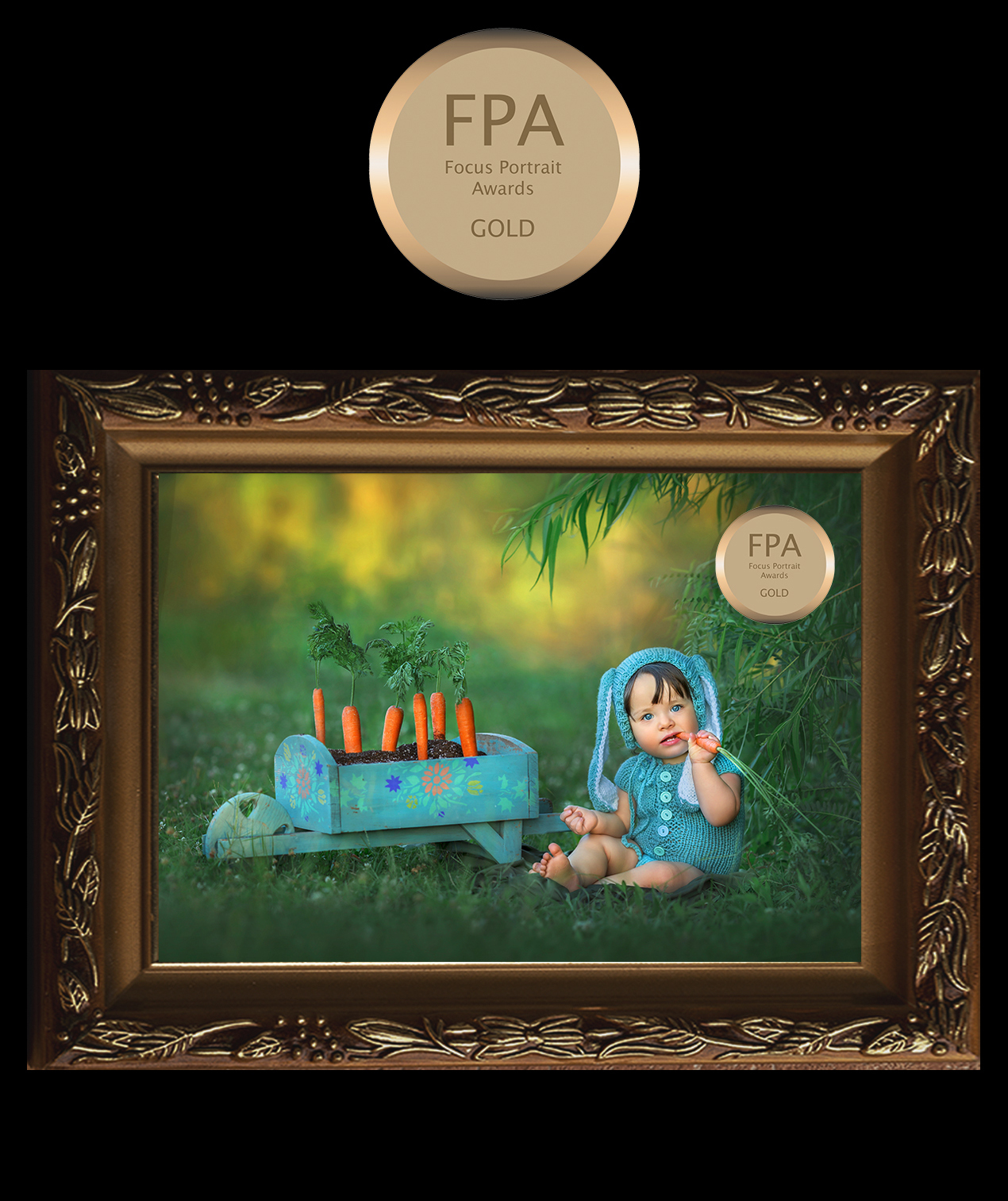 FOCUS PORTRAIT AWARD