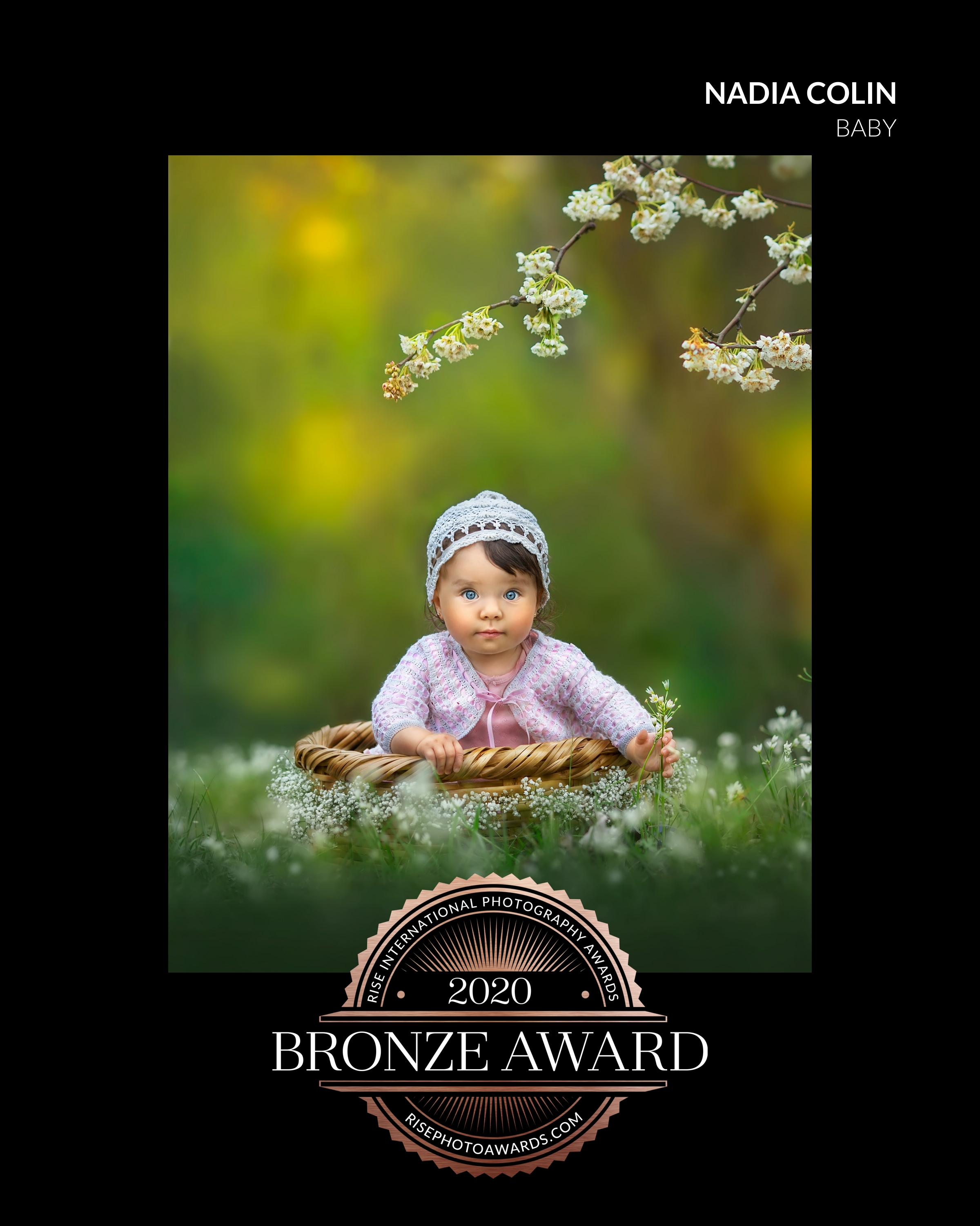 BRONZE AWARD 01