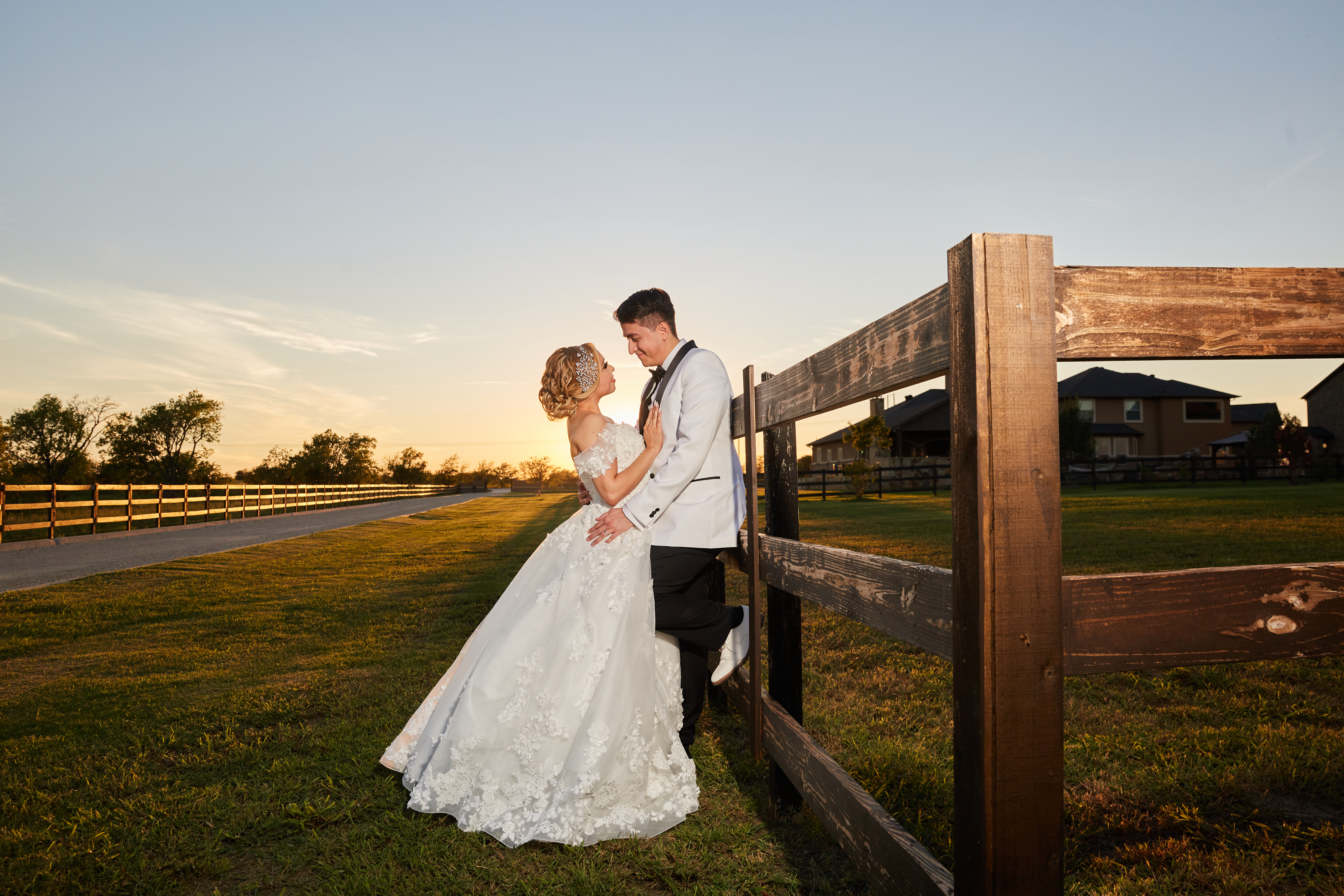 pink water lily flower