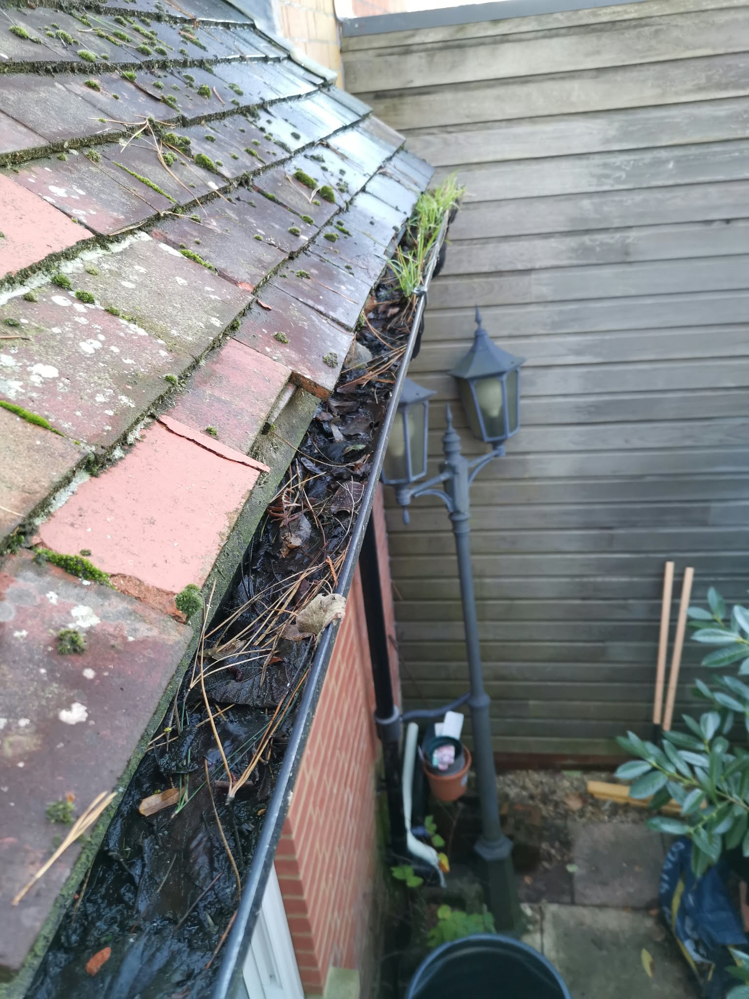 Gutter blocked with moss and debris before cleaning