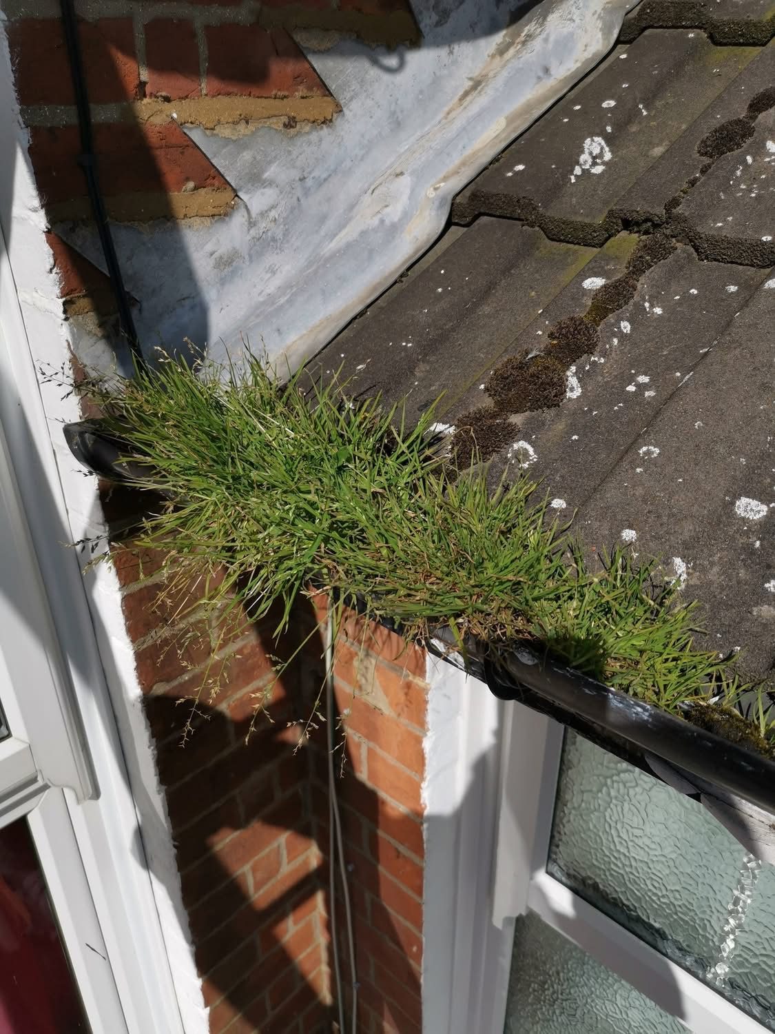 Bay window gutter full of grass before cleaning