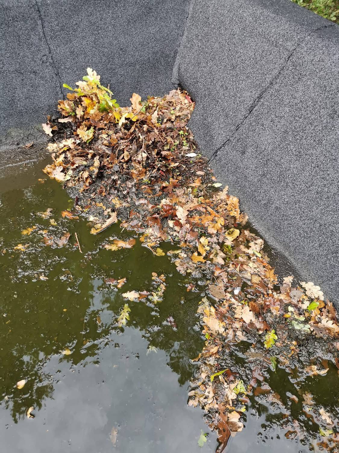 Flat roof outlet blocked with leaves before cleaning