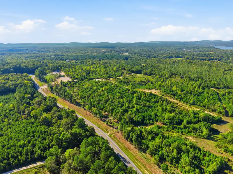 Wooded homesites at the road curve