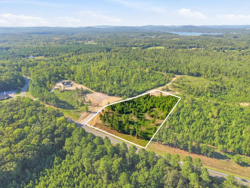 Homesite 46 outlined with the first residence visible