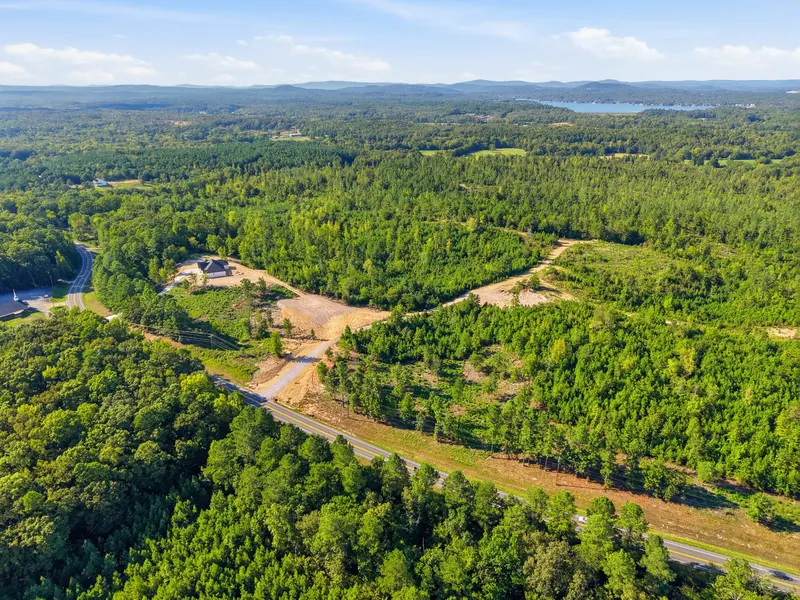 Homesite 46 unmarked with the first residence beyond