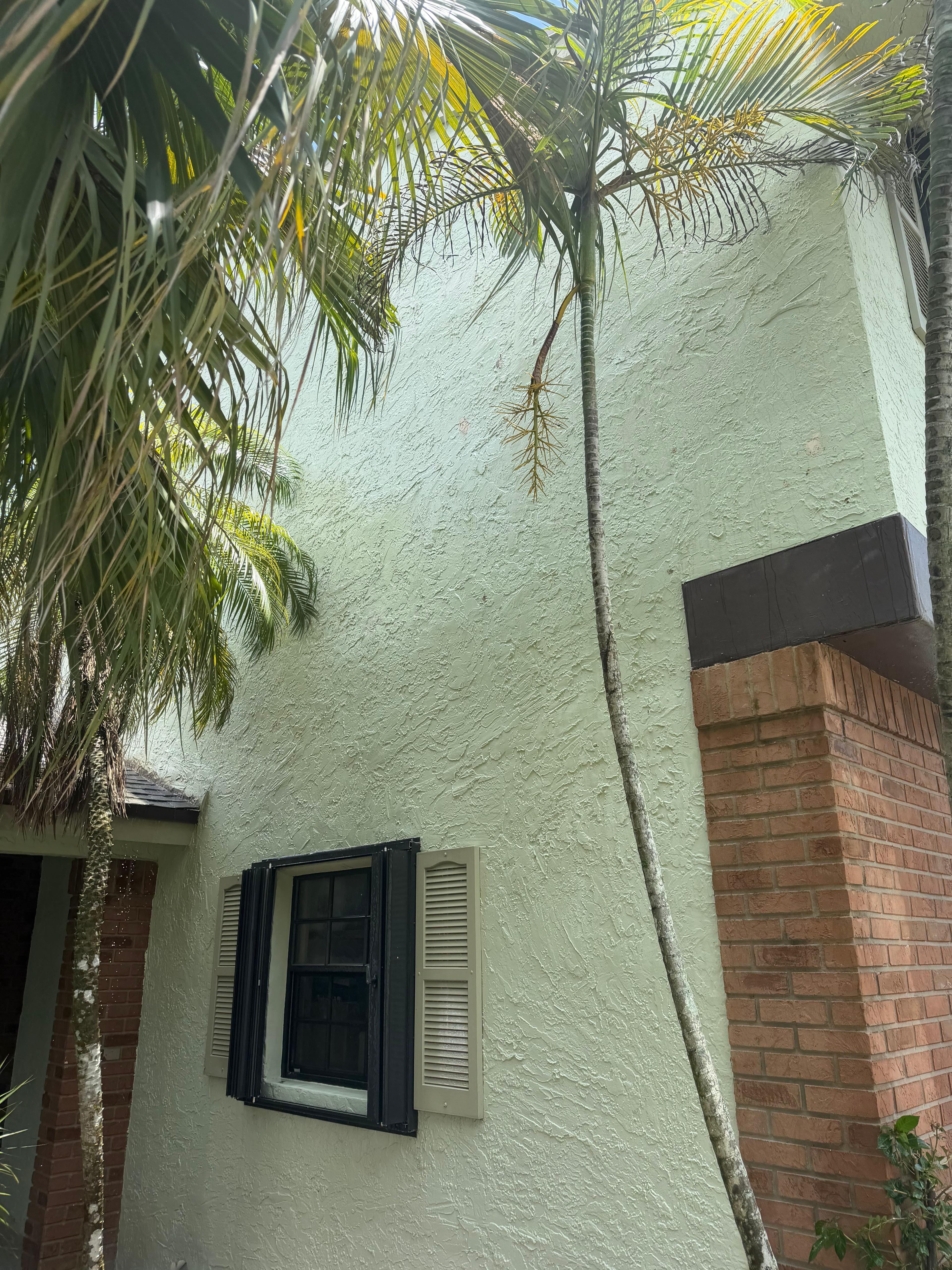 Soft Wash House Cleaning South Florida