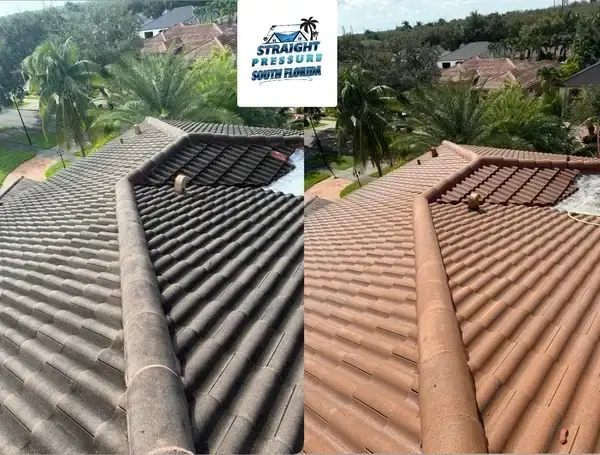 Roof Cleaning South Florida