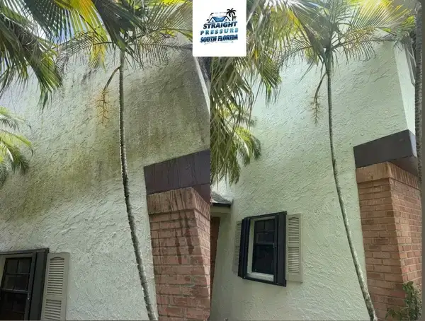 Soft Wash House Cleaning South Florida