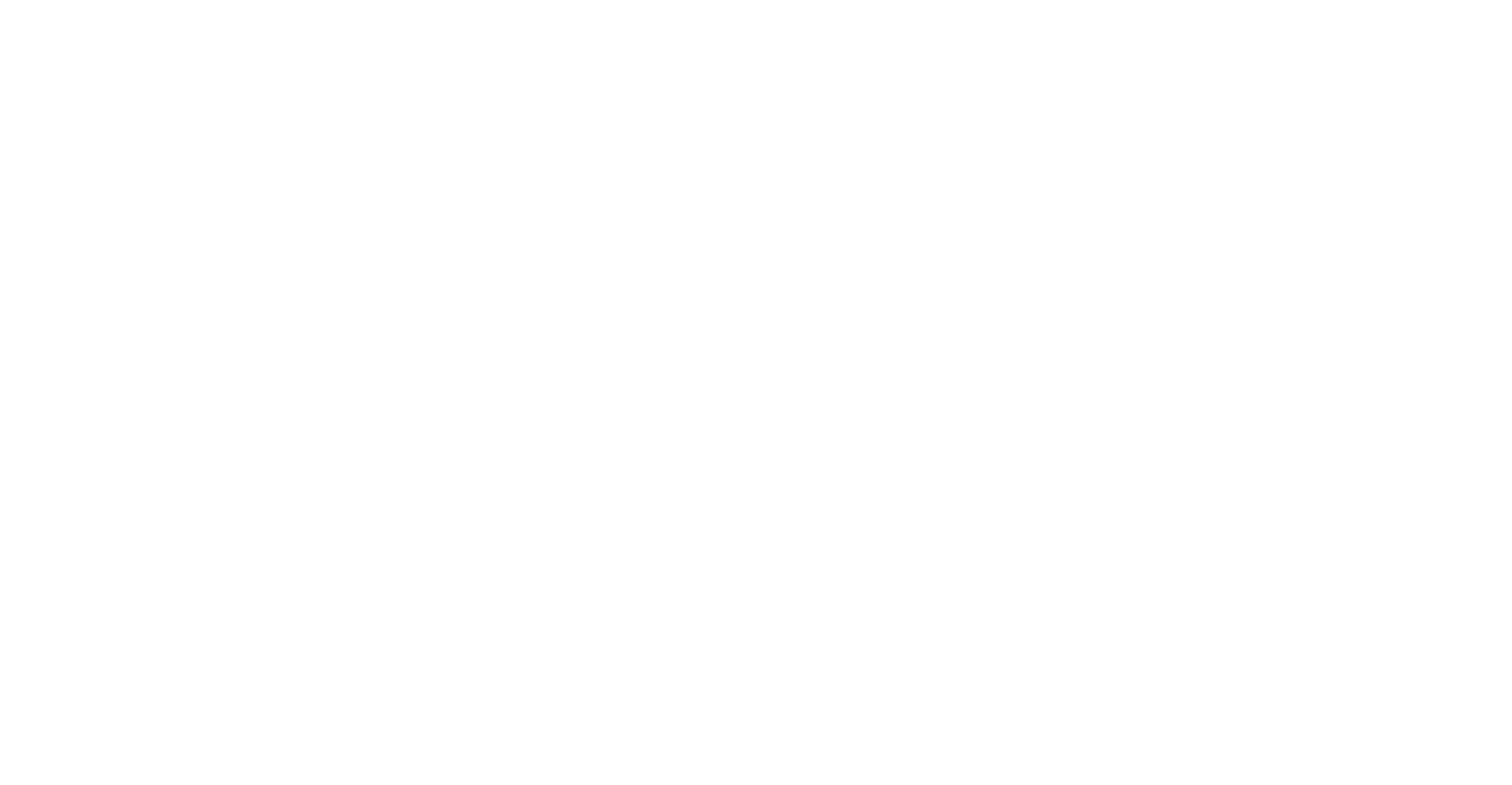 Logo 12