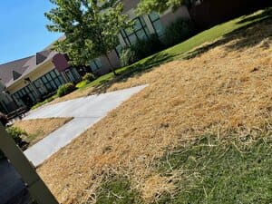 {{ custom_values.service_2 }} in {{custom_values.area_4})