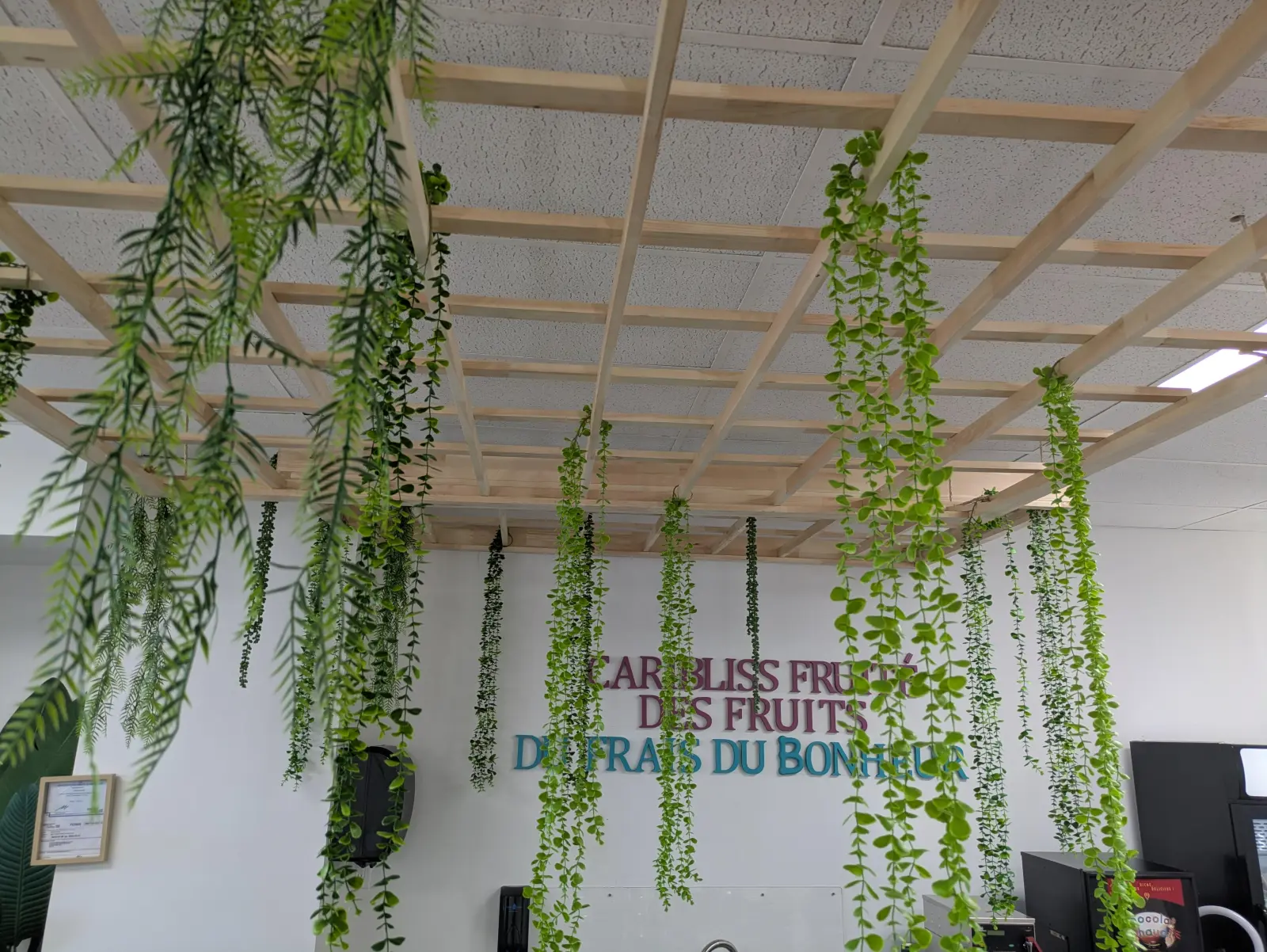Intérieur du comptoir Caribliss Fruité avec plafond végétal suspendu