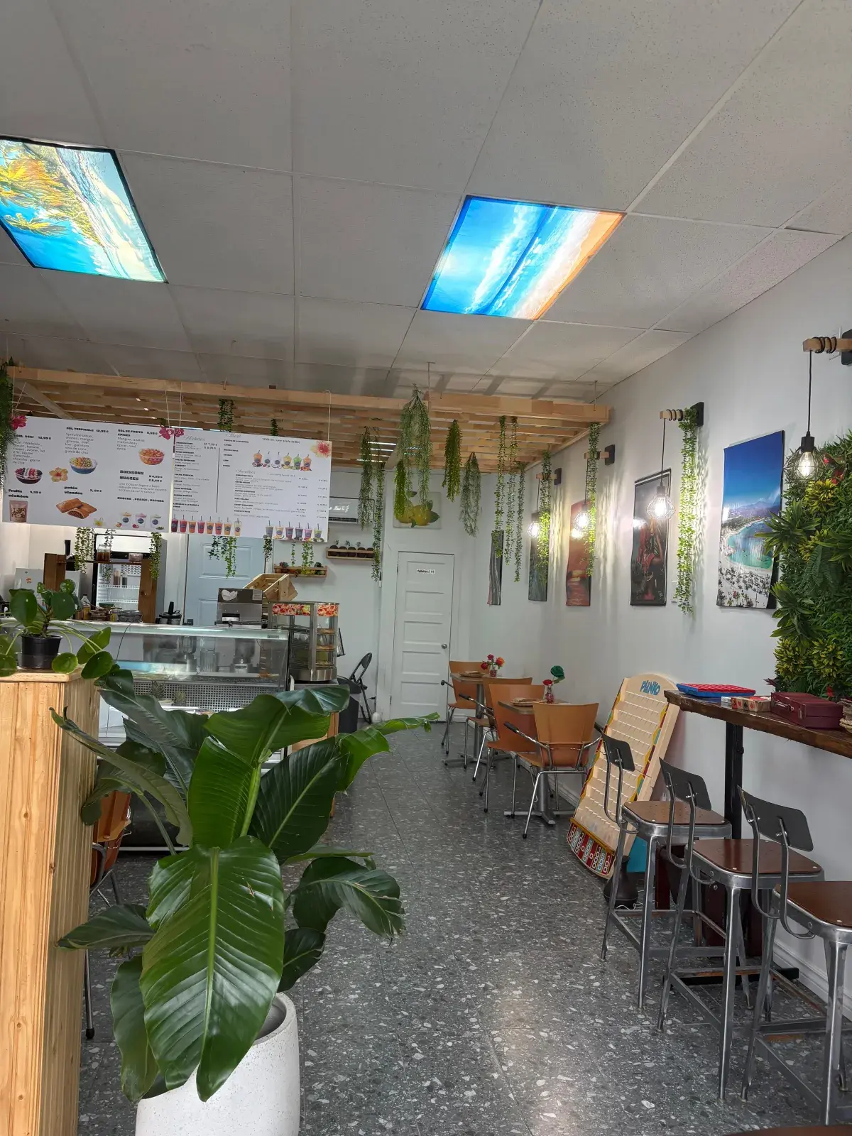 Vue du salon de Caribliss Fruité : comptoir, menu et plantes tropicales