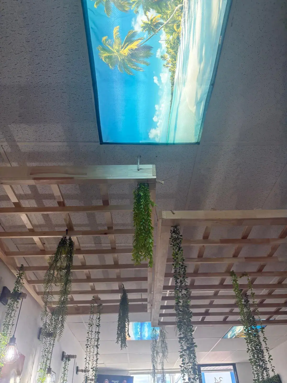 Plafond du salon Caribliss Fruité : puits de lumière tropical et verdure suspendue
