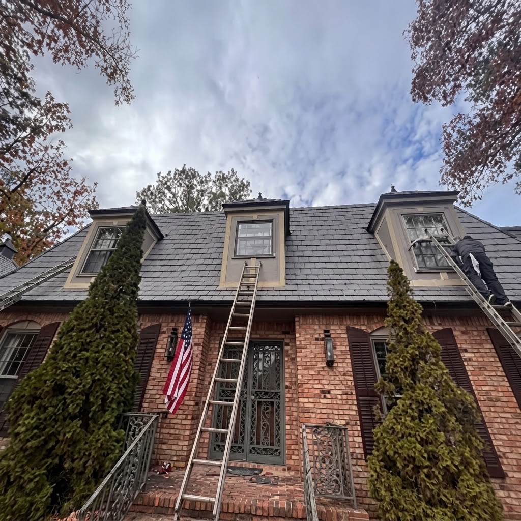 Professional painting and staining renovation services