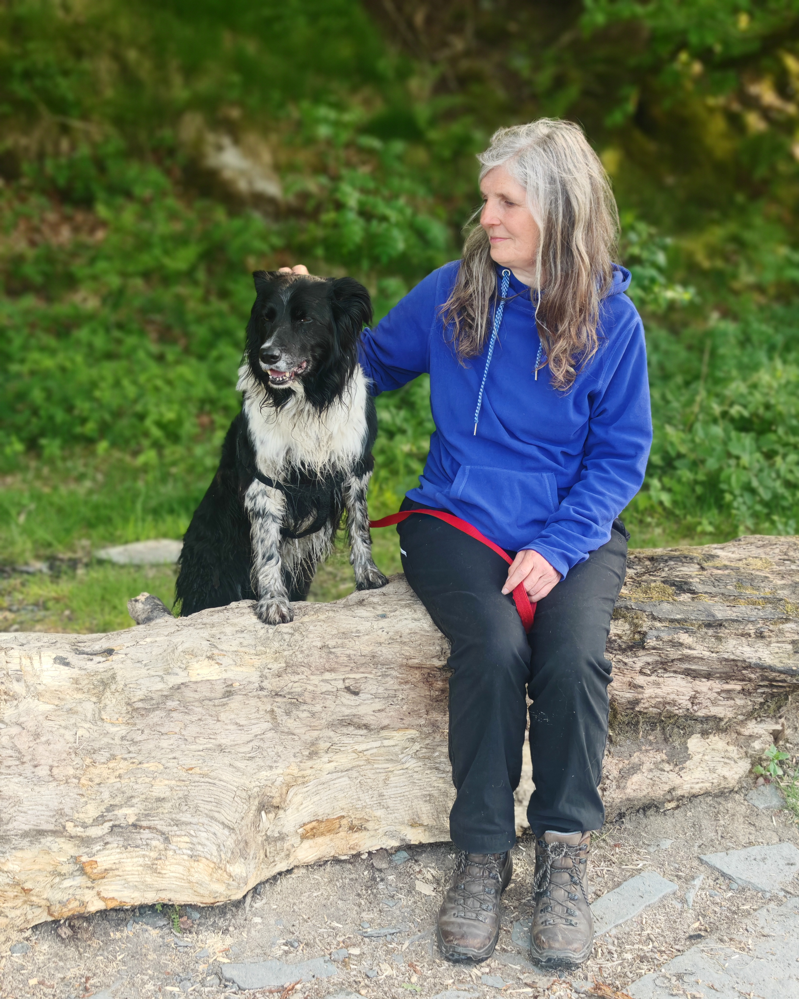 Jo Brown burnout recovery coach sitting quietly in woodland Cumbria