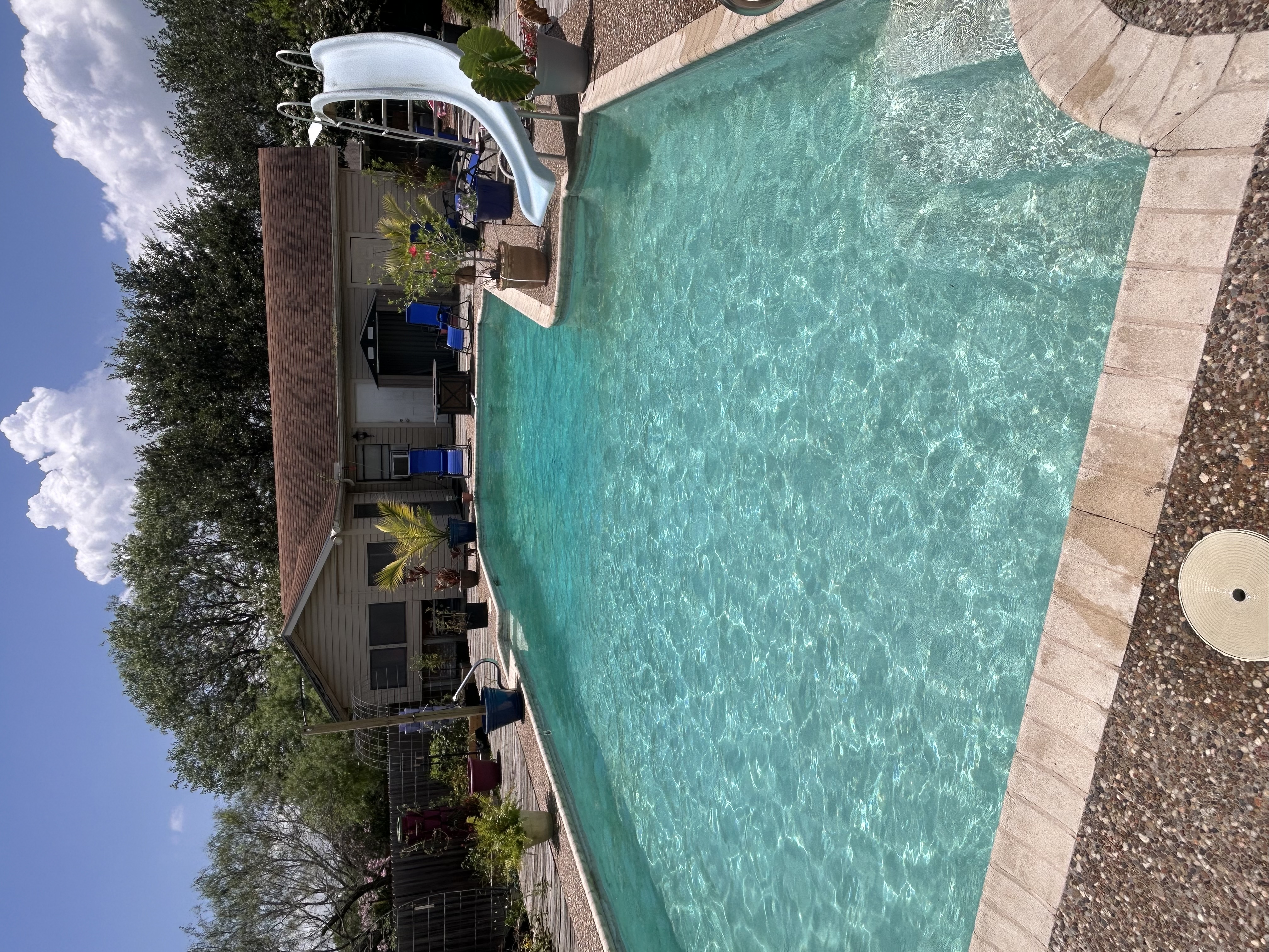 Pool cleaning service in Corpus Christi backyard pool