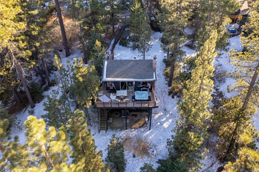 Aerial shot of Starry Night Cabin surrounded by pine trees in snow