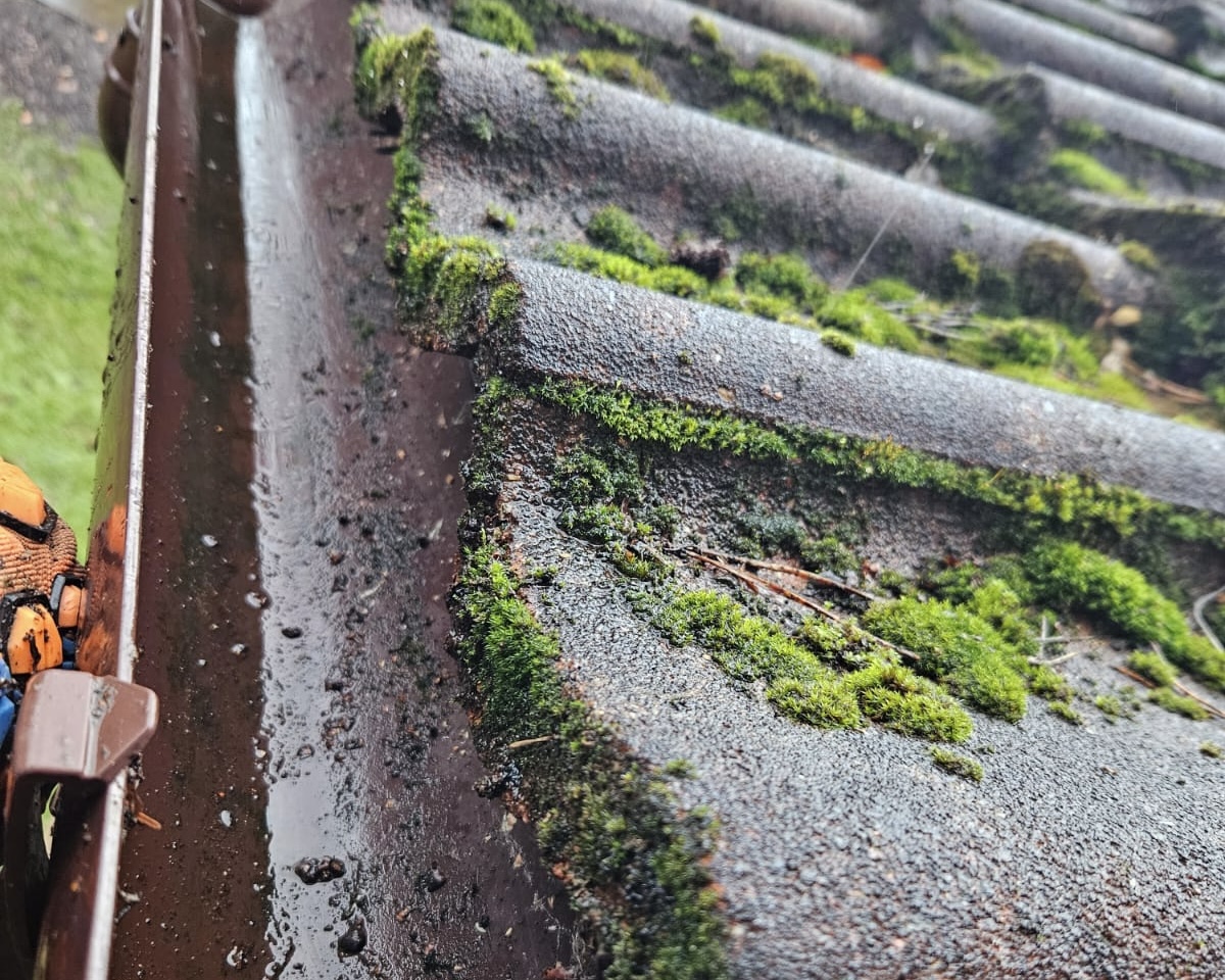 gutter cleaner fareham