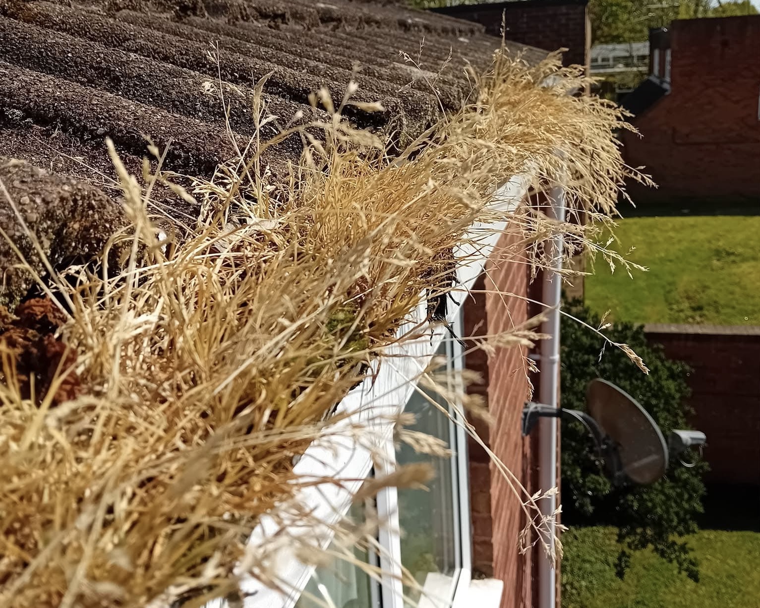 gutter cleaner fareham