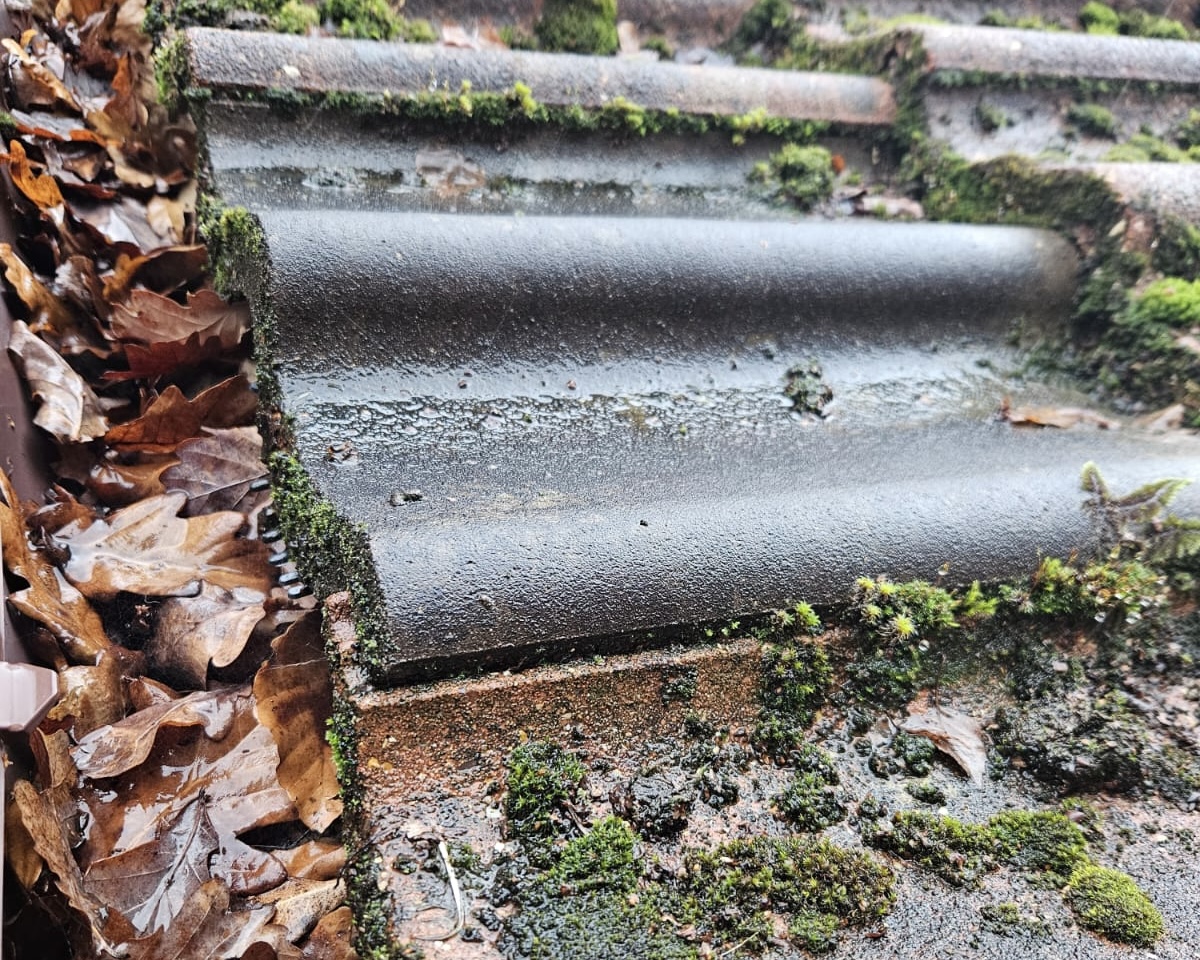 gutter cleaner fareham