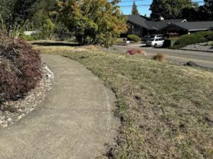 Garbage disposal in Kelso Washington