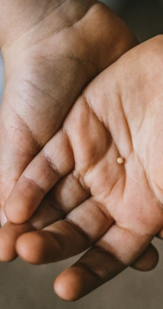 child's hands holding a mustard seed